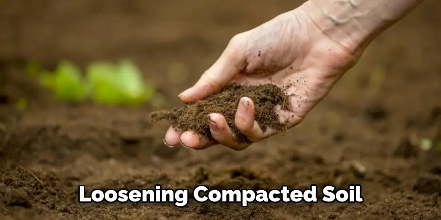 Loosening Compacted Soil