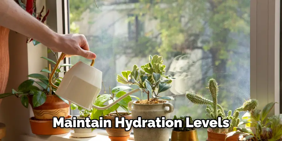 Maintain Hydration Levels