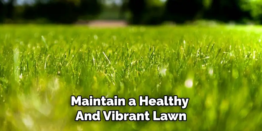 Maintain a Healthy 
And Vibrant Lawn