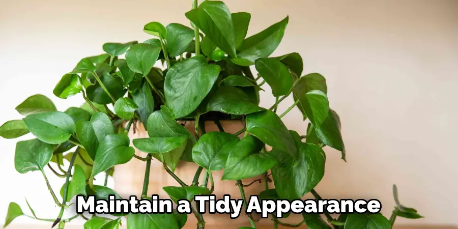 Maintain a Tidy Appearance 