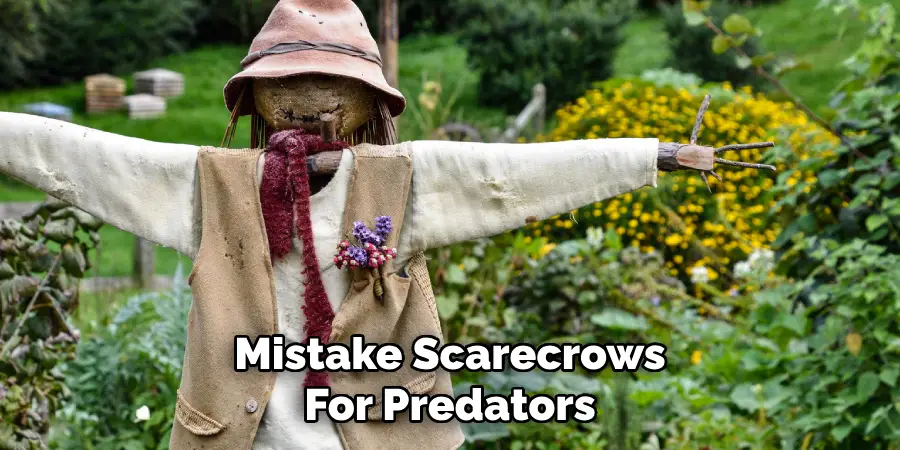 Mistake Scarecrows
For Predators