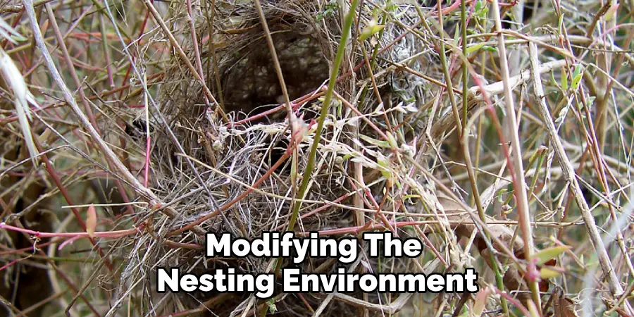 Modifying the
Nesting Environment