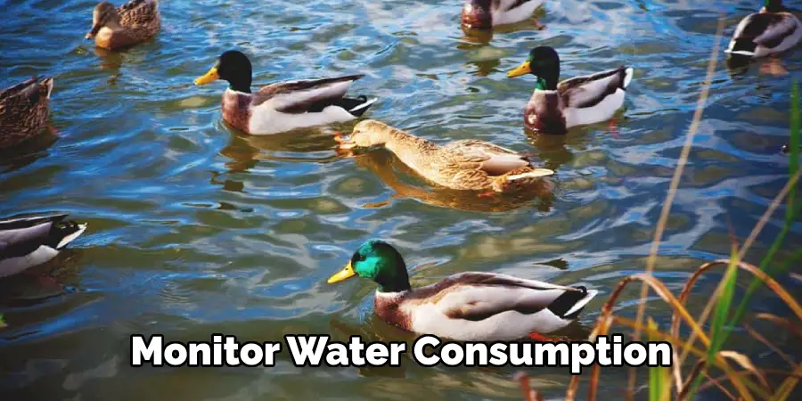 Monitor Water Consumption