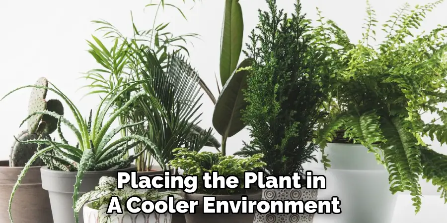 Placing the Plant in a Cooler Environment