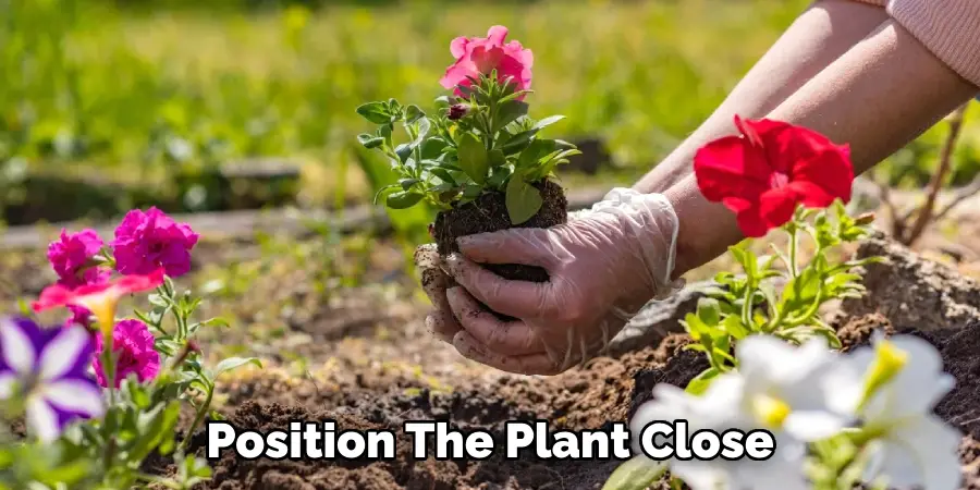 Position the Plant Close