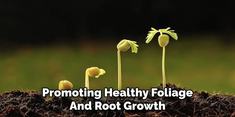 Promoting Healthy Foliage
And Root Growth