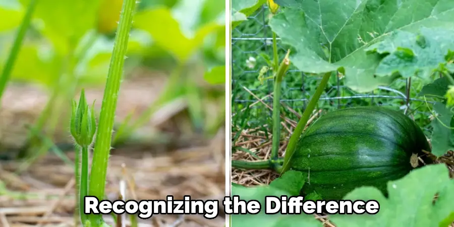 
Recognizing the Difference
