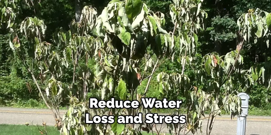 Reduce Water
Loss and Stress