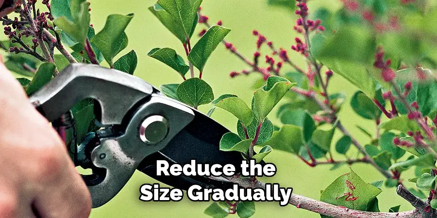 Reduce the Size Gradually 