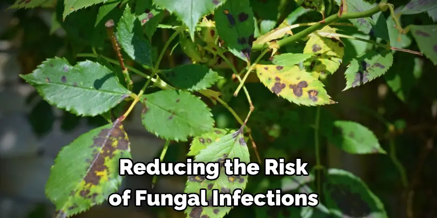 Reducing the Risk of Fungal Infections 