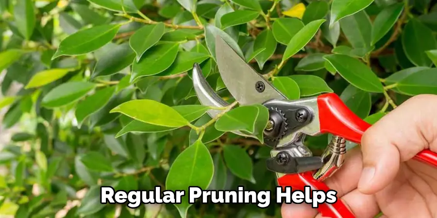 Regular Pruning Helps