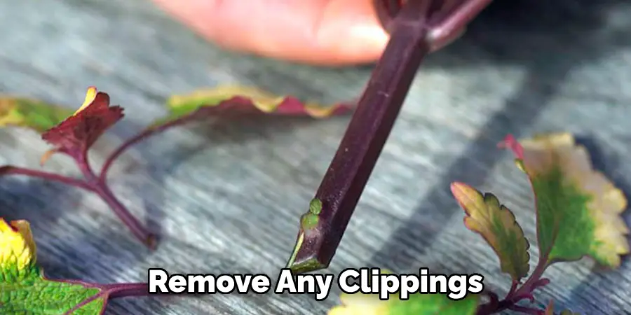 Remove Any Clippings