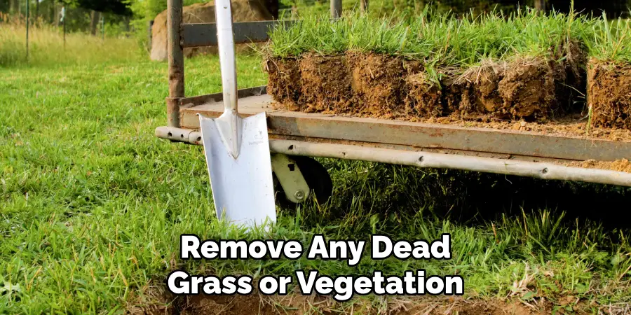 Remove Any Dead
Grass or Vegetation