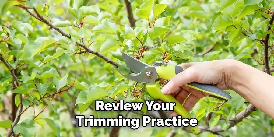 Review Your 
Trimming Practice
