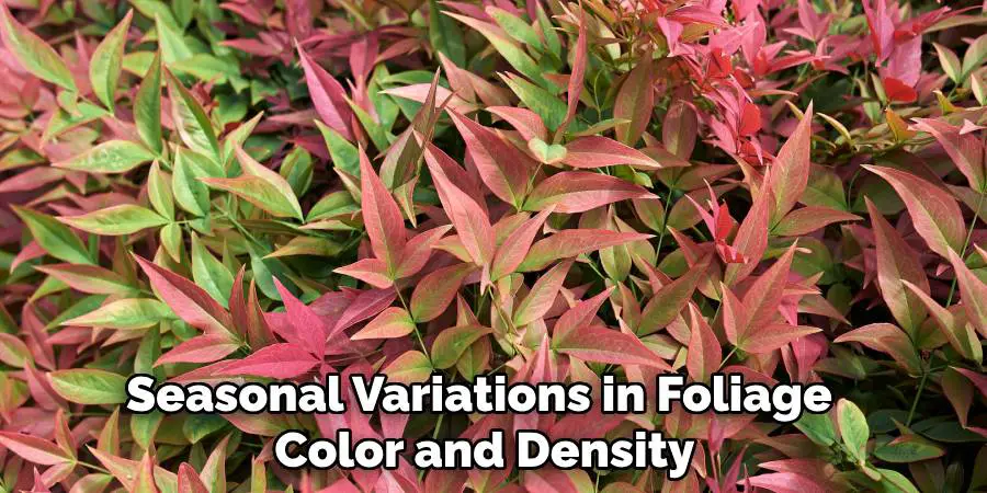 Seasonal Variations in Foliage Color and Density