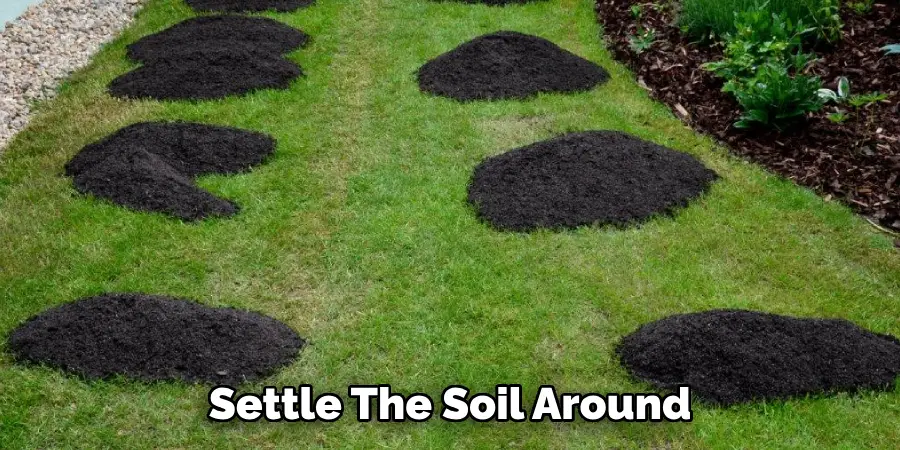 Settle the Soil Around