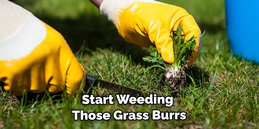 Start Weeding Those Grass Burrs