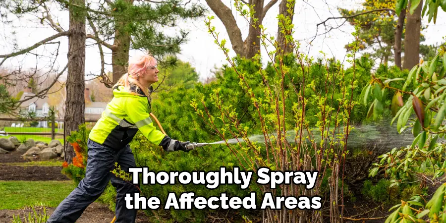 Thoroughly Spray the Affected Areas 