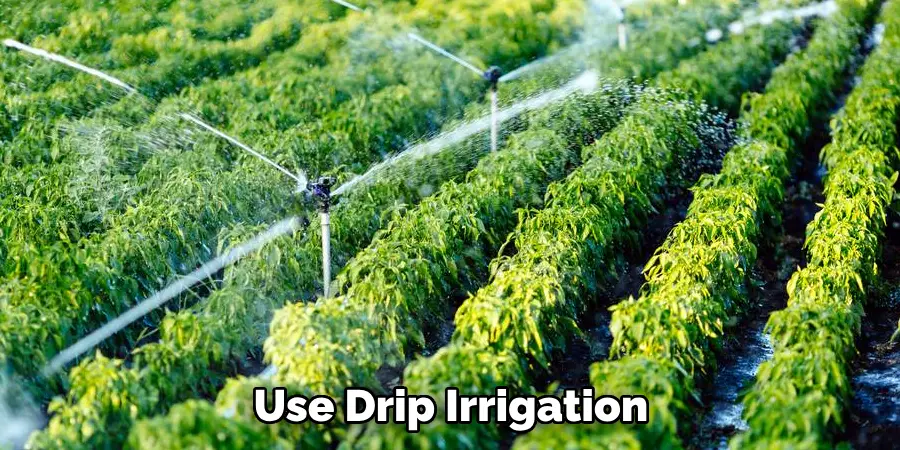 Use Drip Irrigation