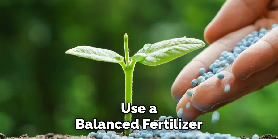 Use a
Balanced Fertilizer