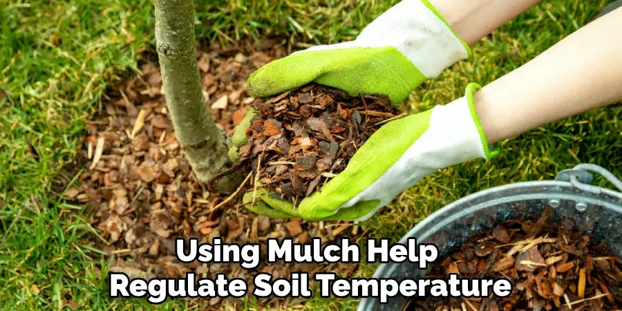 Using Mulch Help Regulate Soil Temperature