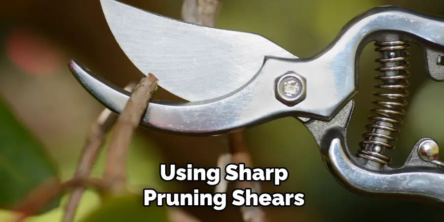 Using Sharp
Pruning Shears