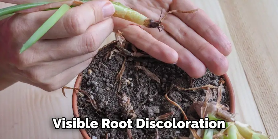 Visible Root Discoloration