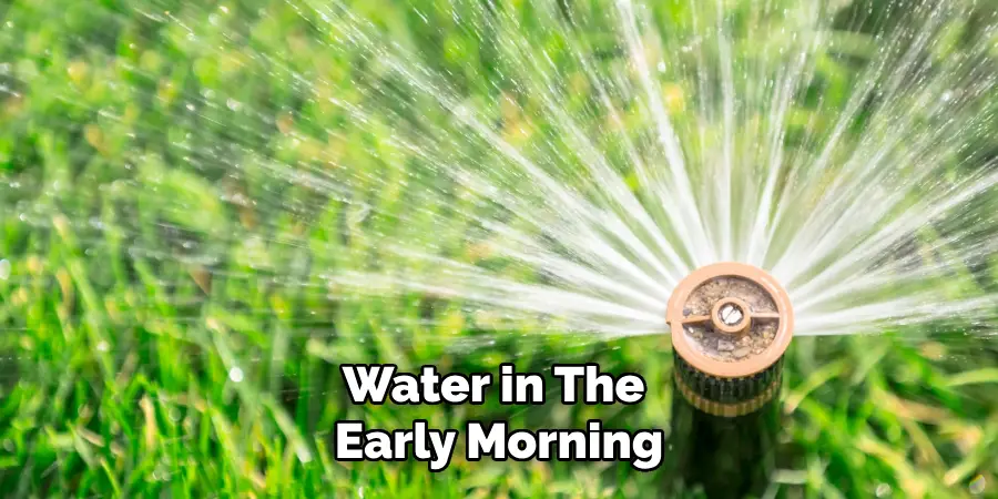 Water in the
Early Morning