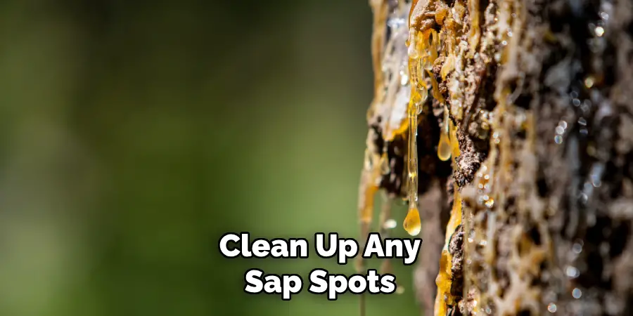  Clean Up Any Sap Spots