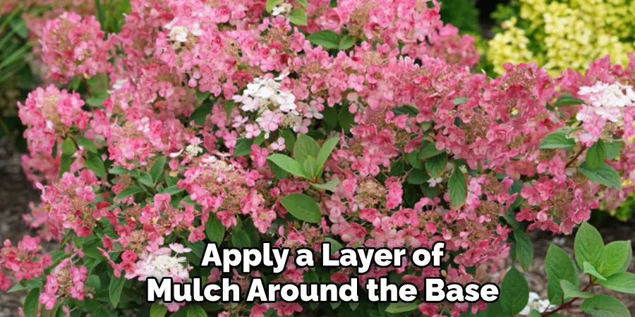 Apply a Layer of
Mulch Around the Base