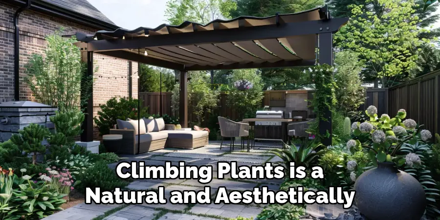 Climbing Plants is a
Natural and Aesthetically  