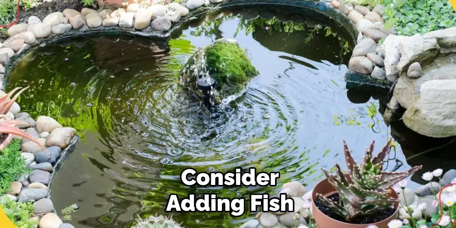 Consider
Adding Fish