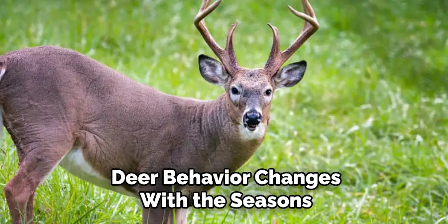 Deer Behavior Changes
With the Seasons
