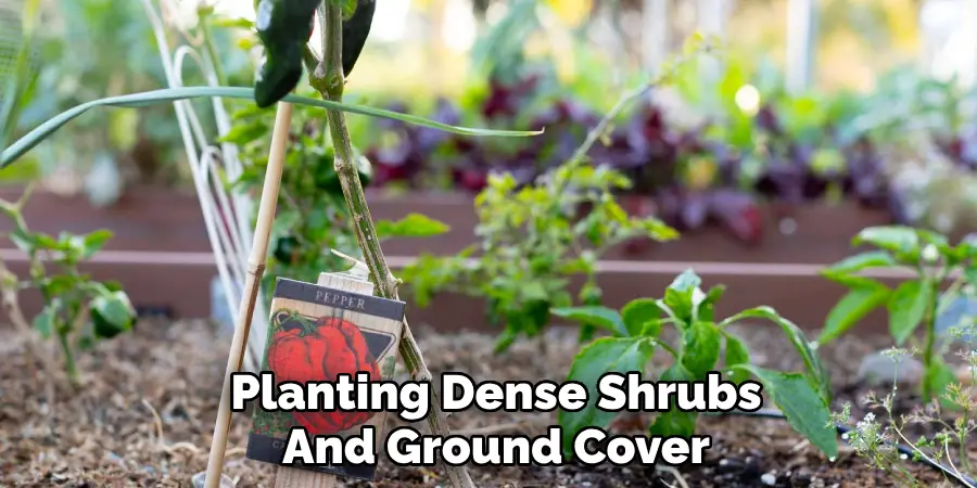 Planting Dense Shrubs
And Ground Cover