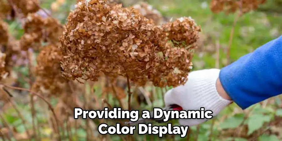 Providing a Dynamic
Color Display