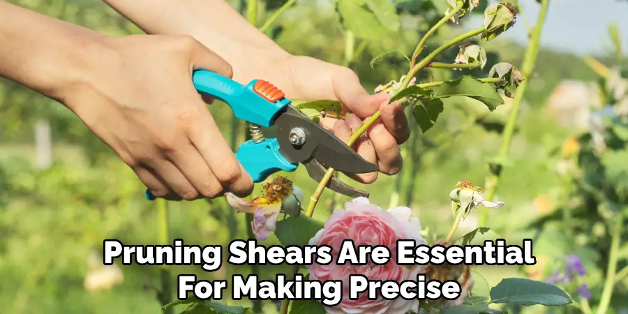 Pruning Shears Are Essential
For Making Precise
