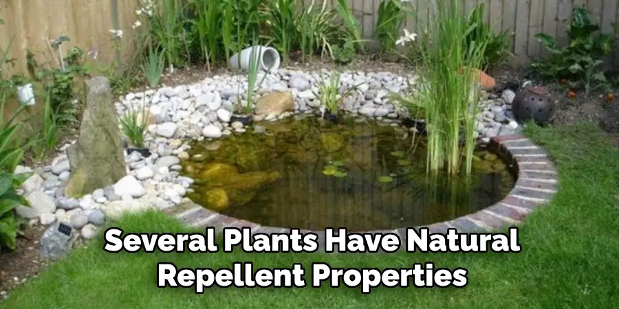 Several Plants Have Natural
Repellent Properties
