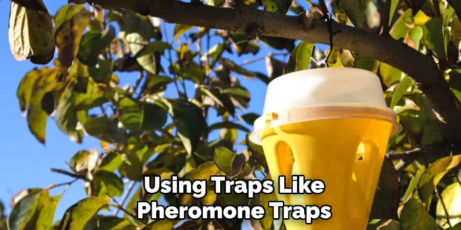 Using Traps Like
Pheromone Traps 