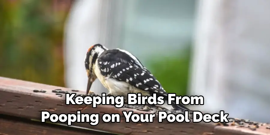 Keeping Birds From Pooping on Your Pool Deck