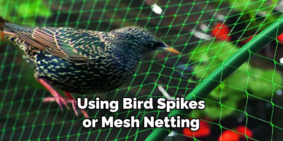 Using Bird Spikes or Mesh Netting