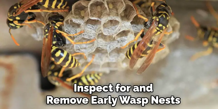 Inspect for and
Remove Early Wasp Nests