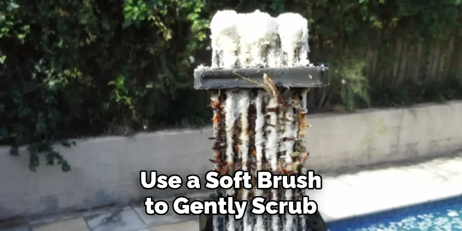 Use a Soft Brush to Gently Scrub