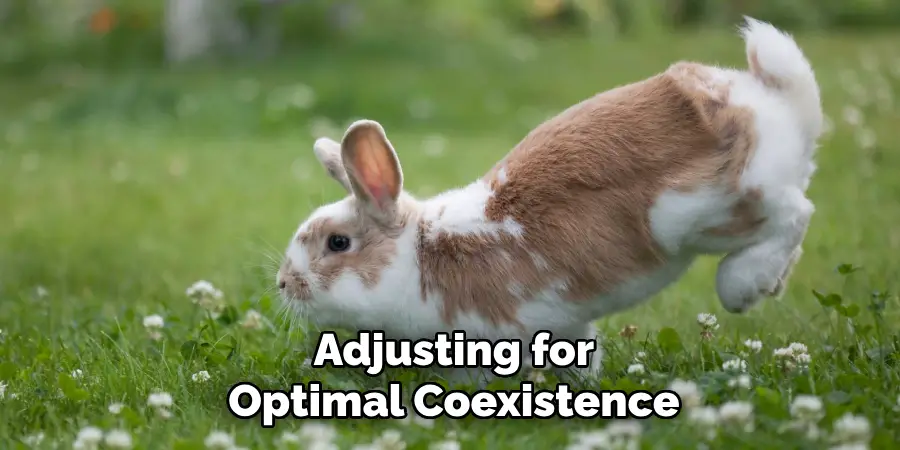 Adjusting for
Optimal Coexistence