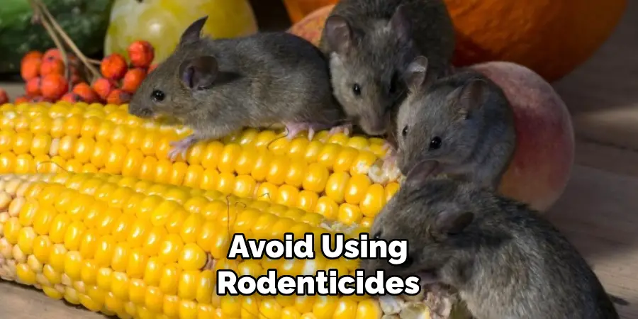 Avoid Using Rodenticides