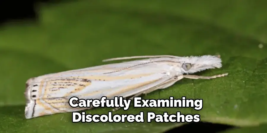 Carefully Examining 
Discolored Patches 