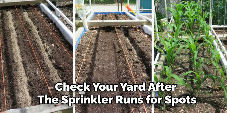 Check Your Yard After 
The Sprinkler Runs for Spots