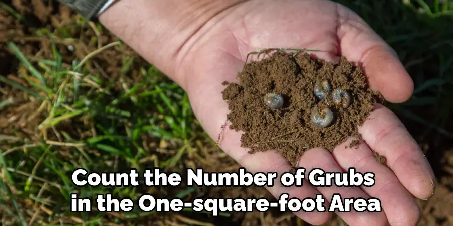 Count the Number of Grubs
 in the One-square-foot Area