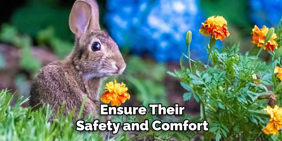 Ensure Their
Safety and Comfort