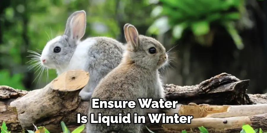 Ensure Water
Is Liquid in Winter