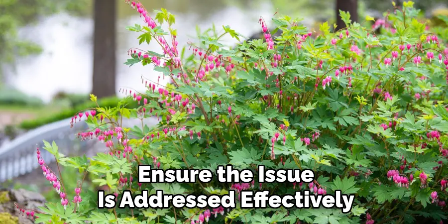 Ensure the Issue
Is Addressed Effectively